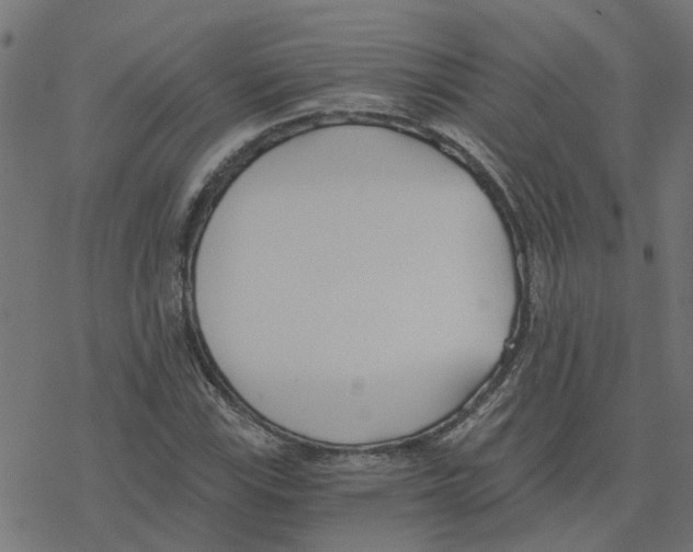 X0000078261115200612011647