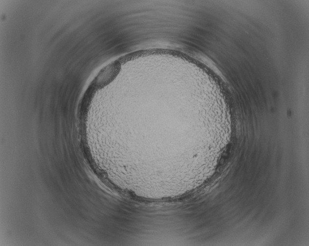 X0000078261116200612011647