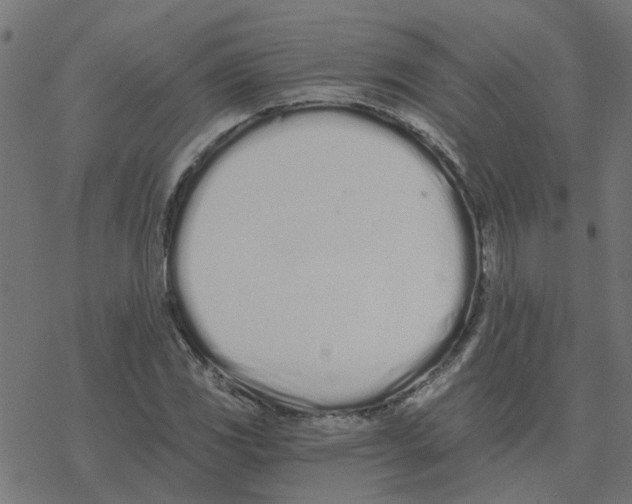 X0000078261117200612011647