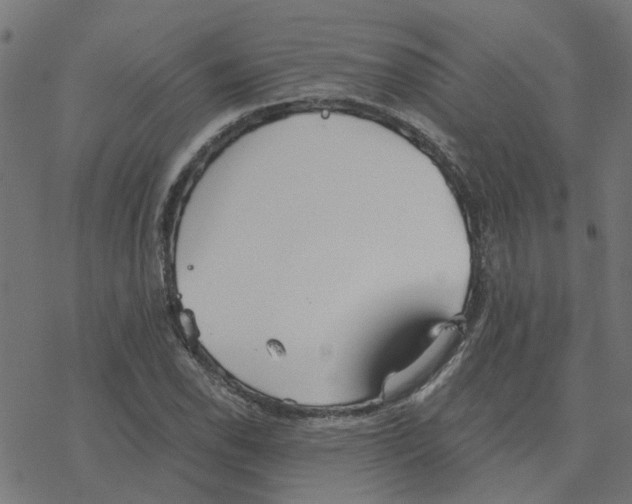 X0000078261118200612011647