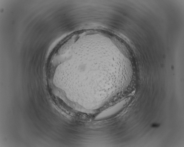 X0000078261120200612011647