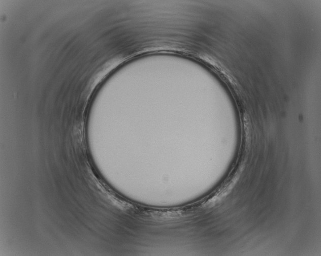 X0000078261121200612011648