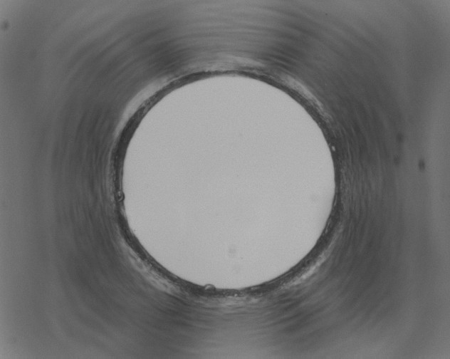 X0000078261122200612011648