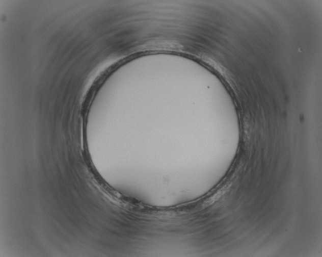 X0000078261123200612011648