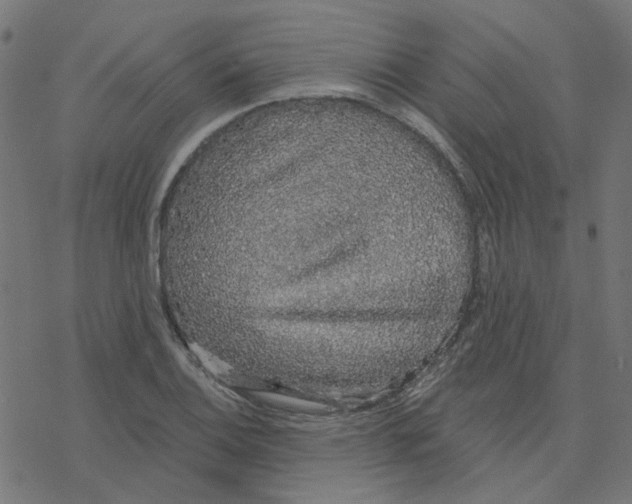 X0000078261124200612011648