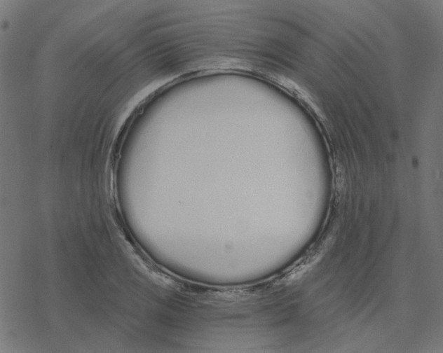 X0000078261125200612011648