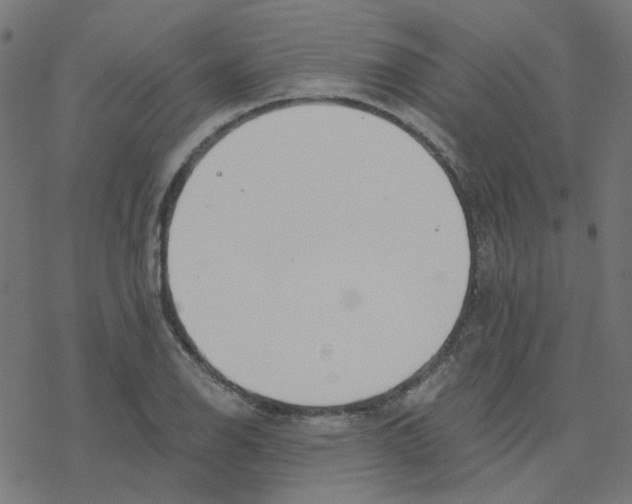 X0000078261126200612011648