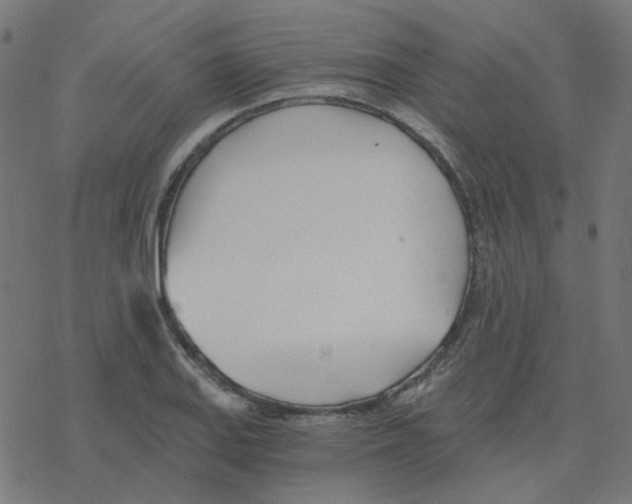 X0000078261127200612011648