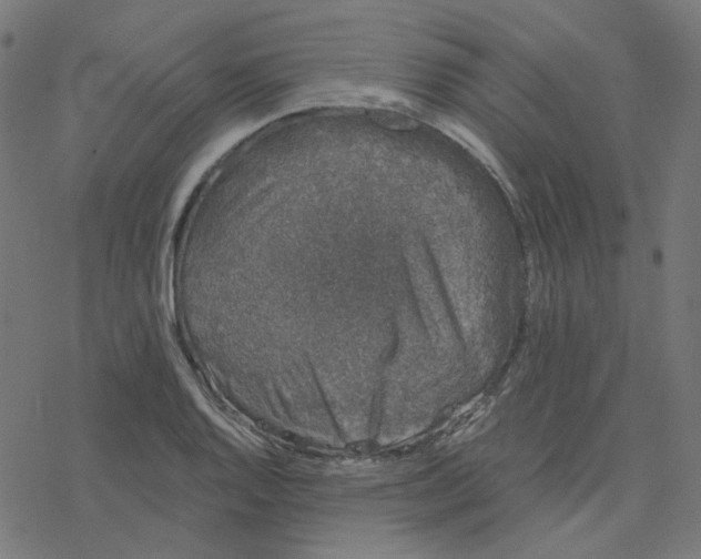 X0000078261128200612011648