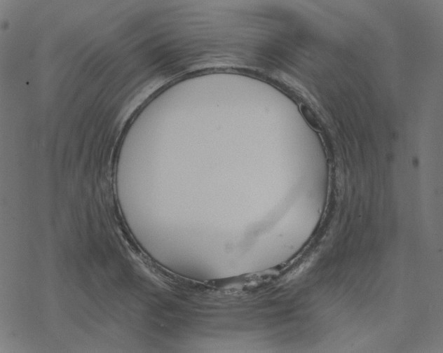 X0000078261129200612011648