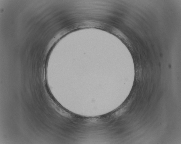 X0000078261130200612011648