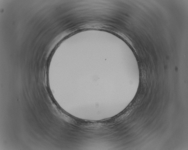 X0000078261131200612011648