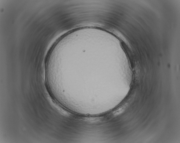 X0000078261132200612011648