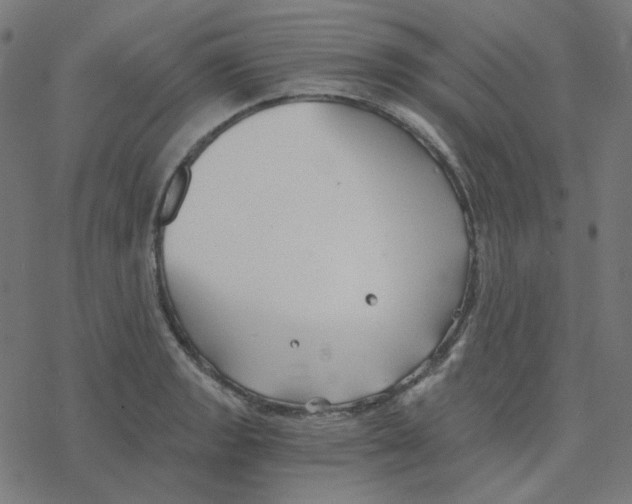 X0000078261133200612011648