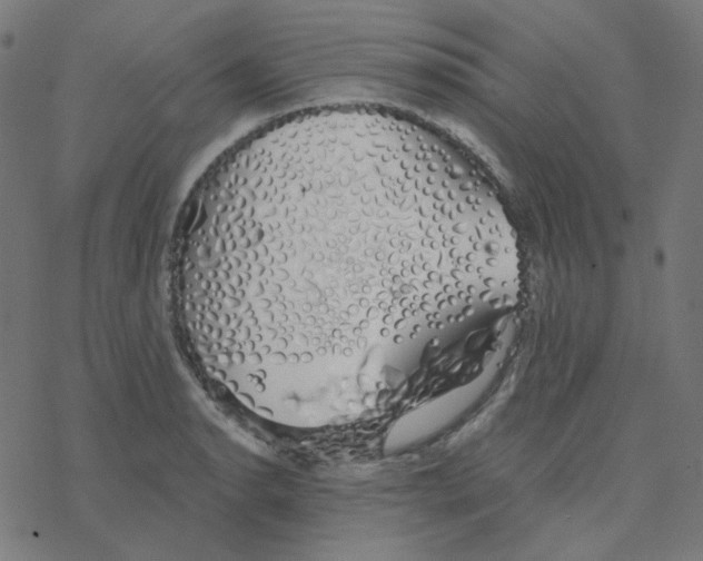 X0000078261134200612011648