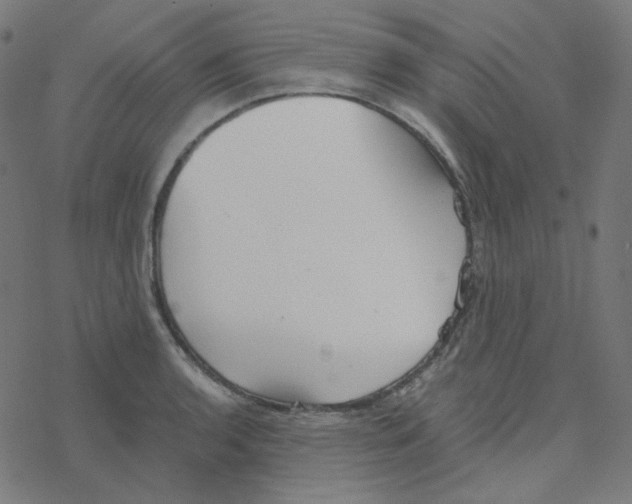 X0000078261136200612011648