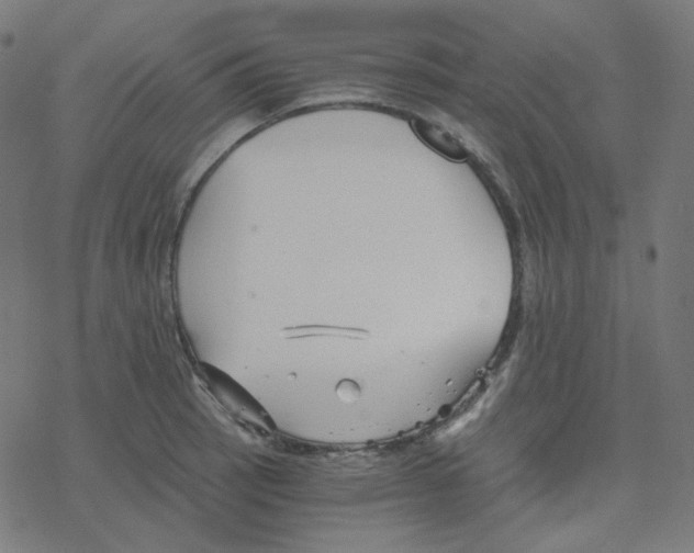 X0000078261137200612011648