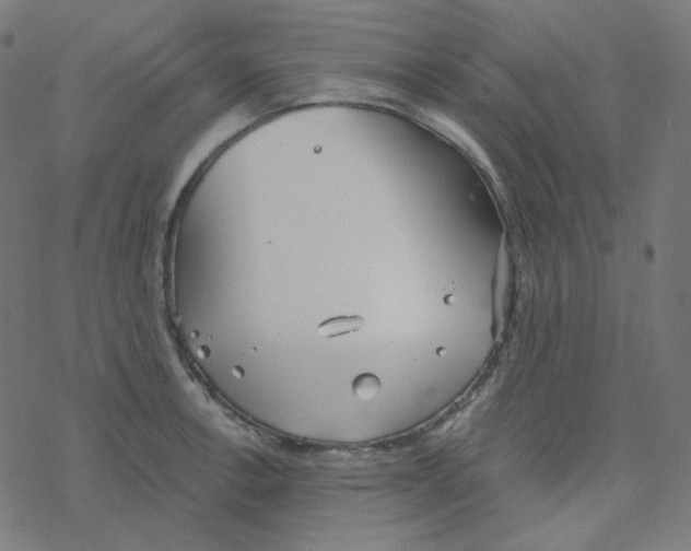 X0000078261138200612011648