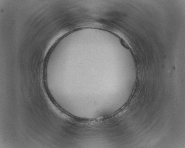 X0000078261139200612011648