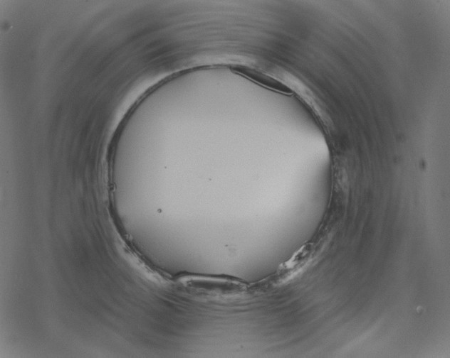 X0000078261140200612011648