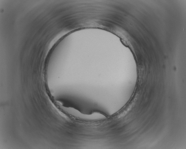 X0000078261141200612011648