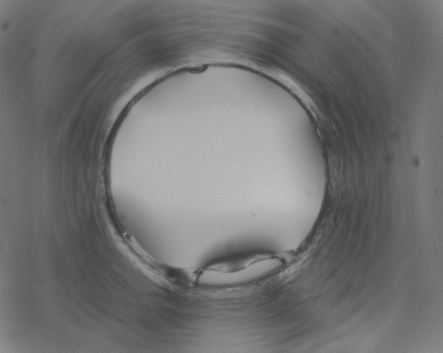 X0000078261142200612011648