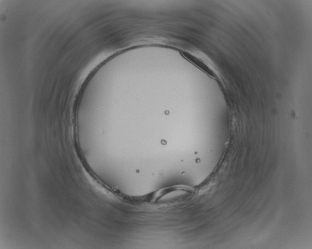 X0000078261143200612011648