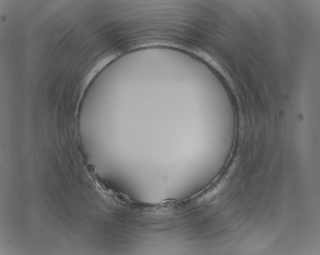 X0000078261145200612011648