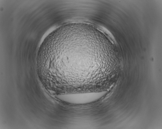 X0000078261146200612011648