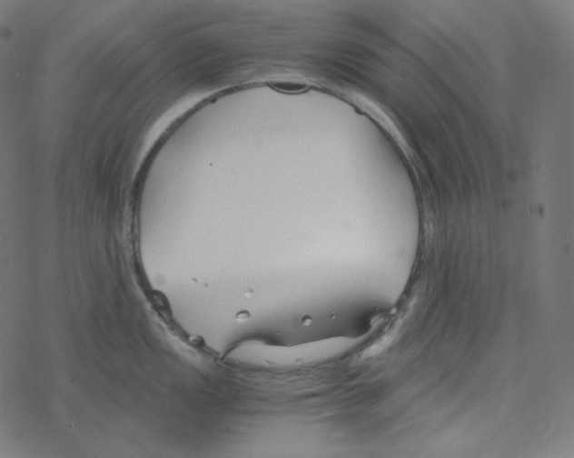 X0000078261149200612011648