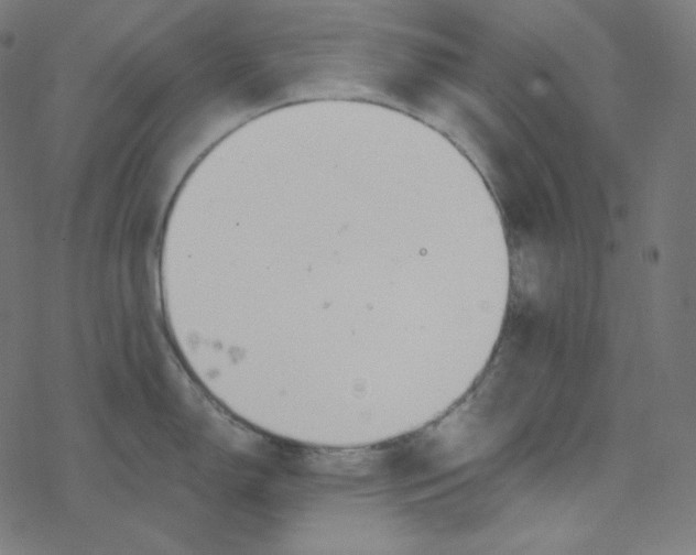 X0000078261150200612011648