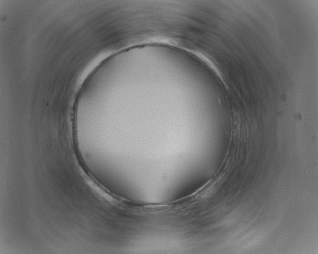 X0000078261151200612011648