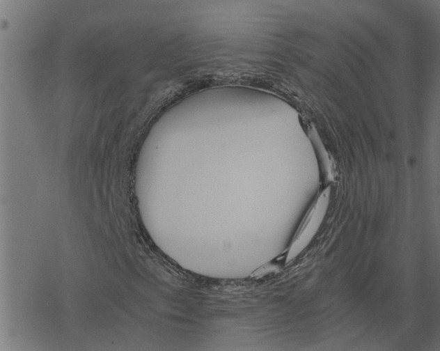 X0000078261153200612011647