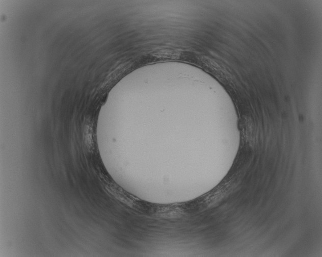 X0000078261154200612011647