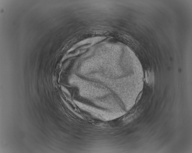 X0000078261155200612011647