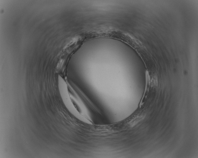 X0000078261156200612011647