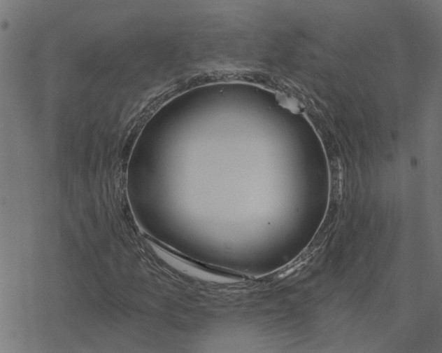 X0000078261157200612011647