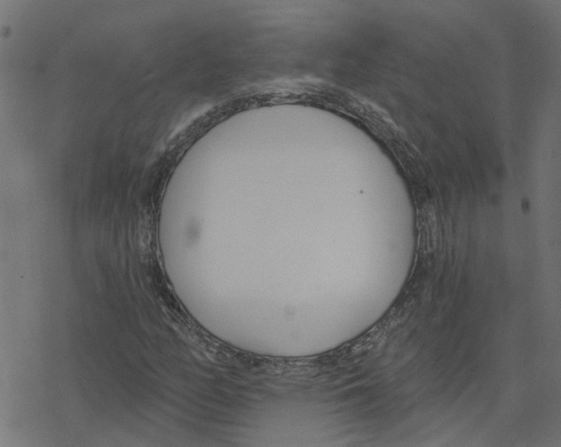 X0000078261158200612011647