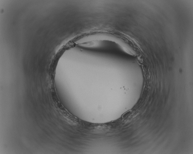 X0000078261160200612011647