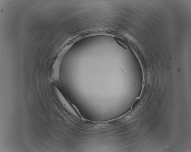 X0000078261161200612011647