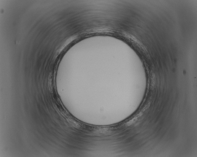 X0000078261162200612011647