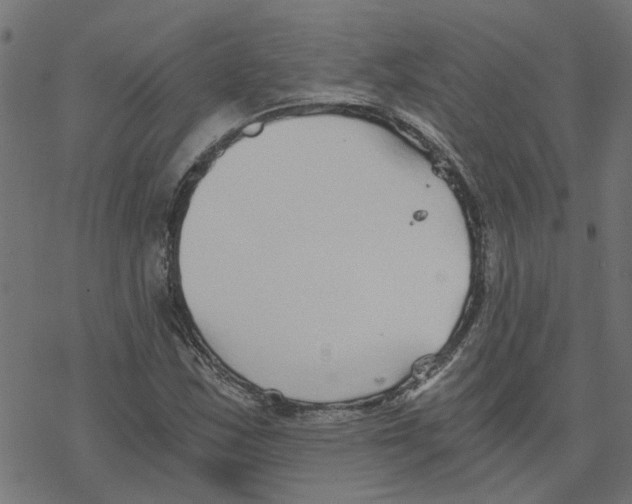 X0000078261163200612011647