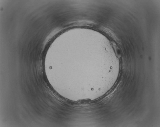 X0000078261164200612011647