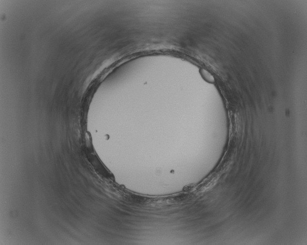 X0000078261165200612011647