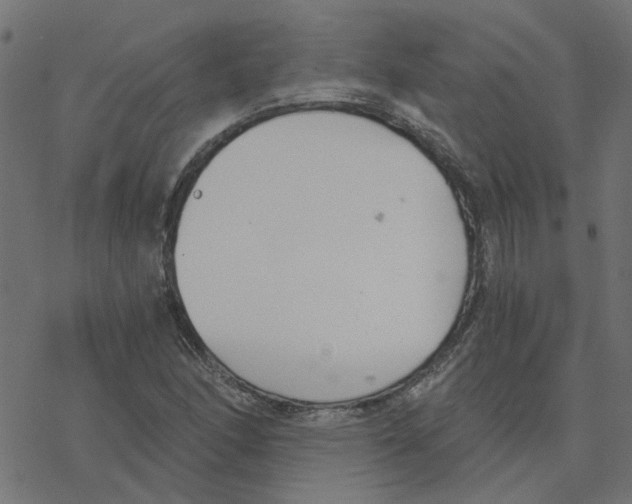 X0000078261166200612011647