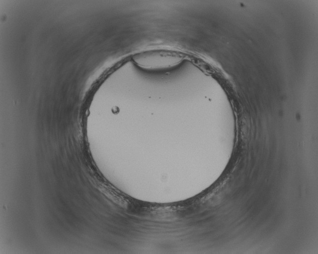 X0000078261167200612011647