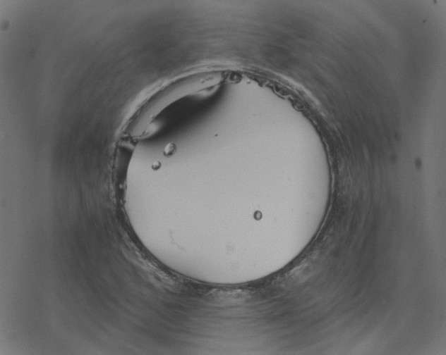 X0000078261168200612011647