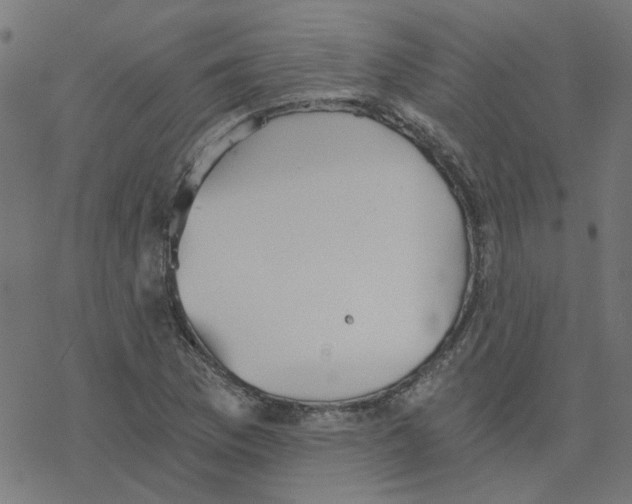 X0000078261169200612011647