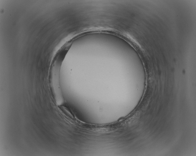 X0000078261173200612011647