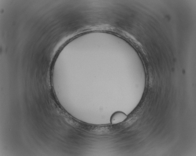 X0000078261174200612011647